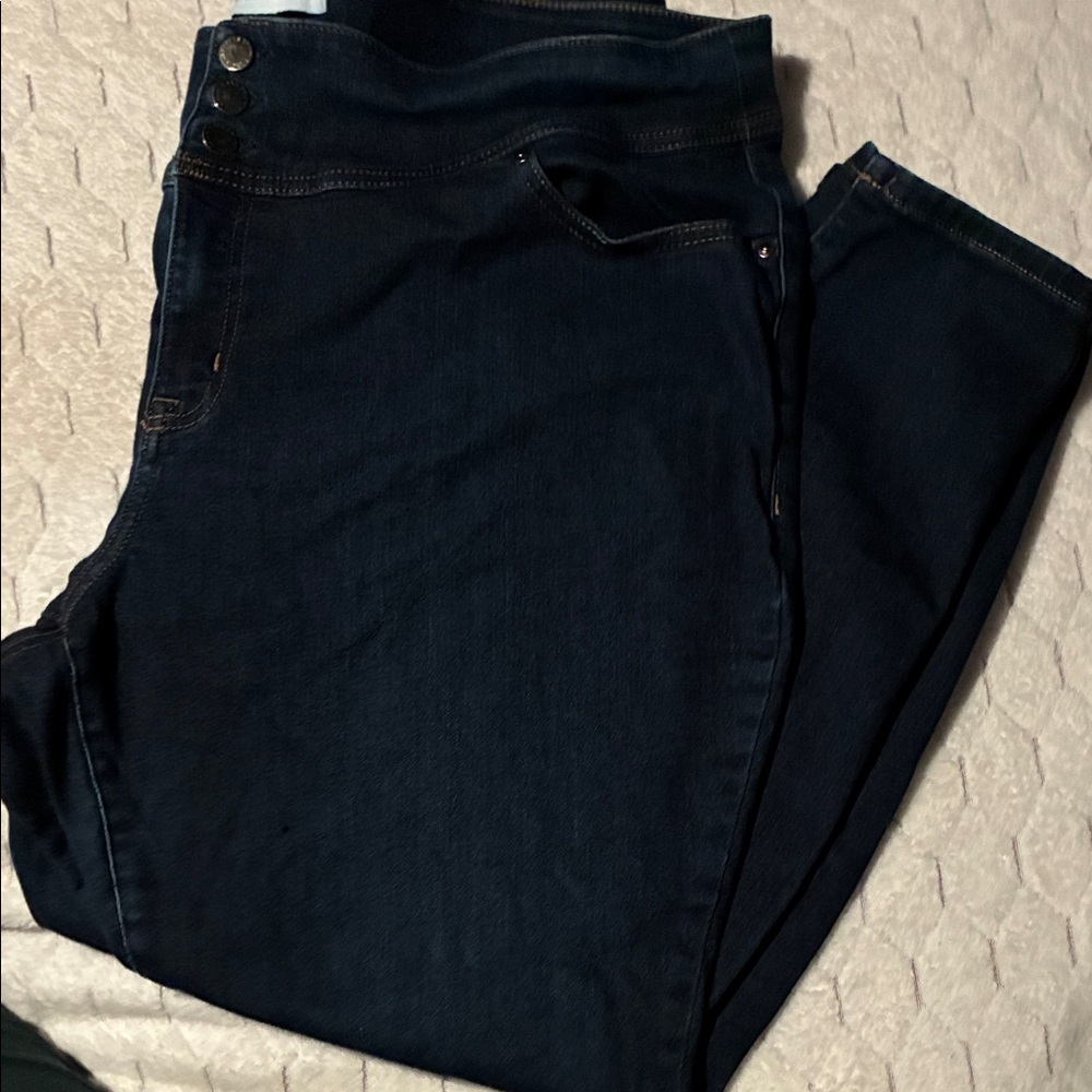 Lane Bryant Women’s Deep Blue Skinny Jeans